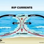 How to spot a rip current and get past it