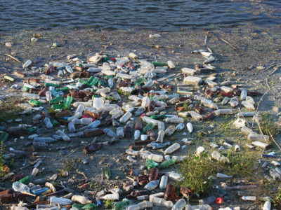 Take It In: Plastic finds its way into our bodies