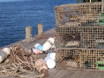 Maine Lobstermen Save Day as Yacht Sinks