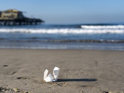 Slash the Trash on International Coastal Cleanup Day